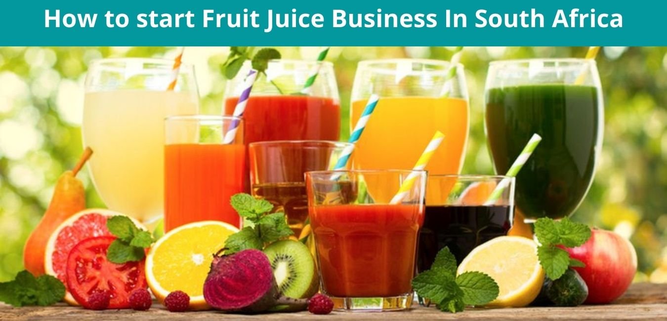 How To Start A Fruit Juice Business In South Africa Business Ideas