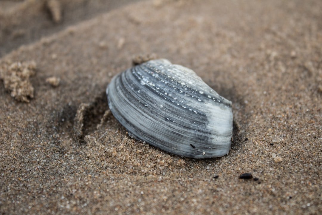 custom made wig units Accra